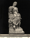 Michelangelo's Madonna de Medici