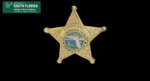 HCSO Sergeant Badge by USF Institute for Digital Exploration