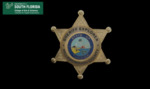 HCSO Sheriff Explorer Badge - Gold by USF Institute for Digital Exploration