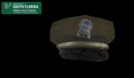 Traffic Deputy Cap by USF Institute for Digital Exploration