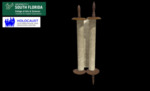 Labowitz, Eugene Torah Scroll 2 by USF Institute for Digital Exploration