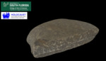 Rock from Dachau by USF Institute for Digital Exploration