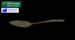 Spoon from Treblinka by USF Institute for Digital Exploration
