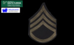 US Armed Forced WWII Infantry Badge by USF Institute for Digital Exploration