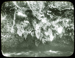 Slide, Pineola Grottoes