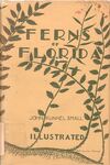 Ferns of Florida: Being Descriptions of and Notes on the Fern-Plants Growing Naturally in Florida by John K. Small