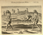 Hermaphroditorum officia Duties of hermaphrodites by Jacques Le Moyne de Morgues and Theodor de Bry