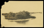 Small Island near Mosquito Inlet by Unknown