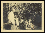 Lue Gim Gong, Nellie Stevens, and Rosa Lee Grant under Lemon Tree