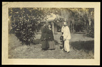 Lue Gim Gong and Visitors Observing Oranges on a Tree