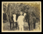 Lue Gim Gong and Two of his Horses