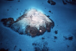 Aerial View of Anegada Patch Reef 27, British Virgin Islands, B