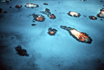 Aerial View of Anegada Patch Reef 7, British Virgin Islands, C