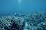 Nancy Ogden SCUBA Diving 6 Meters Deep in Roatán, Honduras