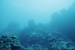 Underwater View of Cochinos Station 3 in Cayos Cochinos, Honduras, B by John C. Ogden