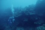 Nancy Ogden SCUBA Diving at Cochinos Station 3 in Cayos Cochinos, Honduras, A