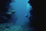 Nancy Ogden SCUBA Diving at Cochinos Station 4 in Cayos Cochinos, Honduras, A