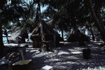 Thatched Roof Buildings on Bolanos Cay, Island in Cayos Cochinos, Honduras by John C. Ogden