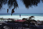 Person and Boat on Beach at Bolanos Cay, Island in Cayos Cochinos, Honduras