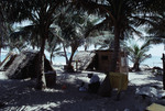 Woman and Small Child Sit Near Thatched Roof Buildings on Bolanos Cay in Cayos Cochinos, Honduras by John C. Ogden