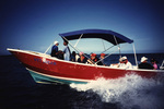 Dozen Divers Head Out on Barrier Reef Excursion on Lighthouse Reef, Belize, circa 1996-1999 by John C. Ogden