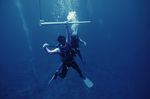 Two Divers Stop at Hang Bar During Excursion to Lighthouse Reef, Belize, circa 1996-1999 by John C. Ogden