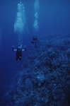 Two Divers Explore Lighthouse Reef in Belize, circa 1996-1999 by John C. Ogden