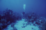 Scattered Low Relief Reef Patches and Sand Channels at Top of Eagle Ray Wall in Lighthouse Reef, Belize by John C. Ogden