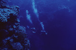 Two Divers Swim Through Channel in Eagle Ray Wall in Lighthouse Reef, Belize by John C. Ogden