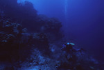 Diver Explores Sayonara Wreck Site in Turneffe Atoll, Belize, A by John C. Ogden