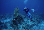 Diver Poses by Coral Structure at Eagle Ray Wall Site in Lighthouse Reef, Belize by John C. Ogden