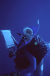 Diver Takes Notes in Eagle Ray Wall Site in Lighthouse Reef, Belize by John C. Ogden