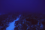 Chain Wall in Lighthouse Reef, Belize, A