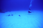 Two Divers Observe Fish at Chain Wall Site in Lighthouse Reef, Belize by John C. Ogden