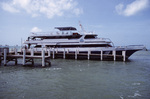 Wave Dancer Docked at Fort George Hotel and Spa in Belize City, Belize, B by John C. Ogden and Nancy B. Ogden