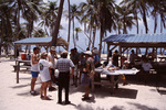 Divers Prepare Lunch on Turneffe Atoll, Belize, May 16, 1999 by John C. Ogden and Nancy B. Ogden