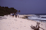 Diving Group Walks Down Beach on Turneffe Atoll, Belize by John C. Ogden and Nancy B. Ogden