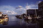 Small Marina in Belize, May 16, 1999 by John C. Ogden and Nancy B. Ogden