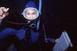 Diver Holds Up Specimen Underwater Near Turneffe Atoll, Belize by John C. Ogden and Nancy B. Ogden