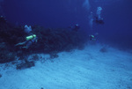 Thin Leaf Lettuce Coral Buttress at Curlew Bank, Belize by John C. Ogden