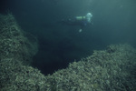 Slumped Peat Blocks in Tobacco Range, Belize, A by John C. Ogden