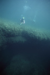 Slumped Peat Blocks in Tobacco Range, Belize, B by John C. Ogden