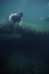 Laury McCook Observes Slumped Peat Blocks in Tobacco Range, Belize by John C. Ogden