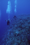 Dylan Gomez and Ian Macintyre at Outer Ridge at Carrie Bow Cay, Belize by John C. Ogden