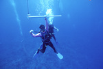 Diver Holds Hang Bar at Pinnacle Ridge Near Carrie Bow Cay, Belize by John C. Ogden