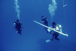 Dylan Gomez, Ian Macintyre, and Lawrence McCook Dive Pinnacle Ridge Near Carrie Bow Cay, Belize by John C. Ogden