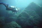 Diver Explores Pinnacle Ridge Near Carrie Bow Cay, Belize, C by John C. Ogden