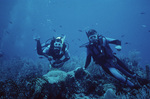 John C. Ogden and Dylan Gomez on Outer Ridge Near Carrie Bow Cay, Belize by Ian Macintyre