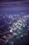 Coastal Lagoon Nature Reserve in Belize by John C. Ogden