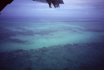 Aerial View of Seine Bight, Belize by John C. Ogden